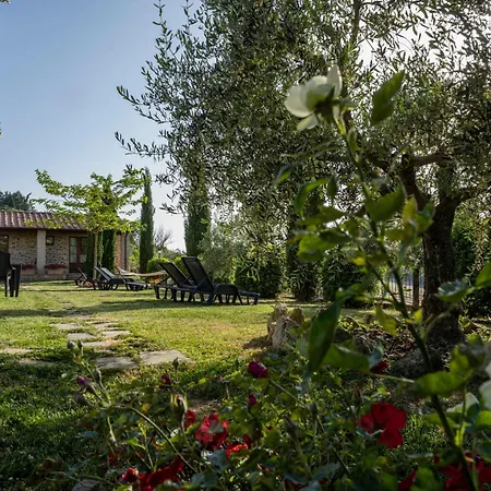 La Pievina-3